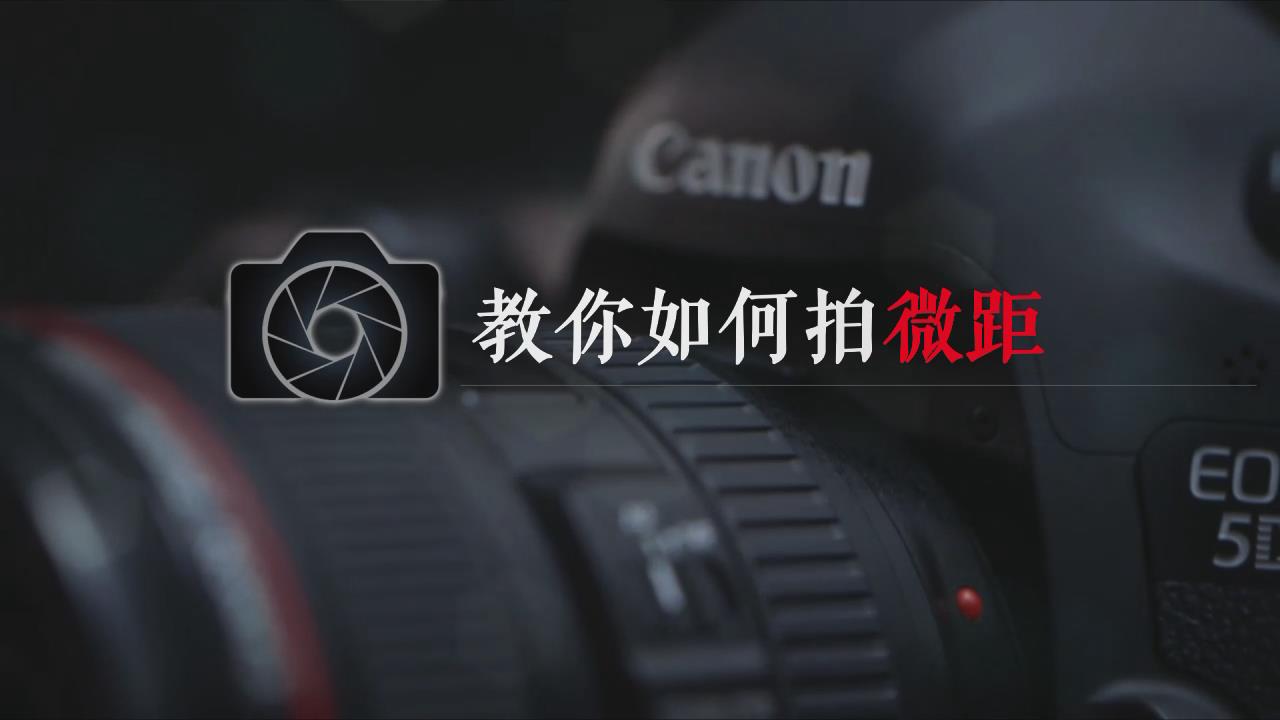 第二届  一等奖 教你如何拍微距