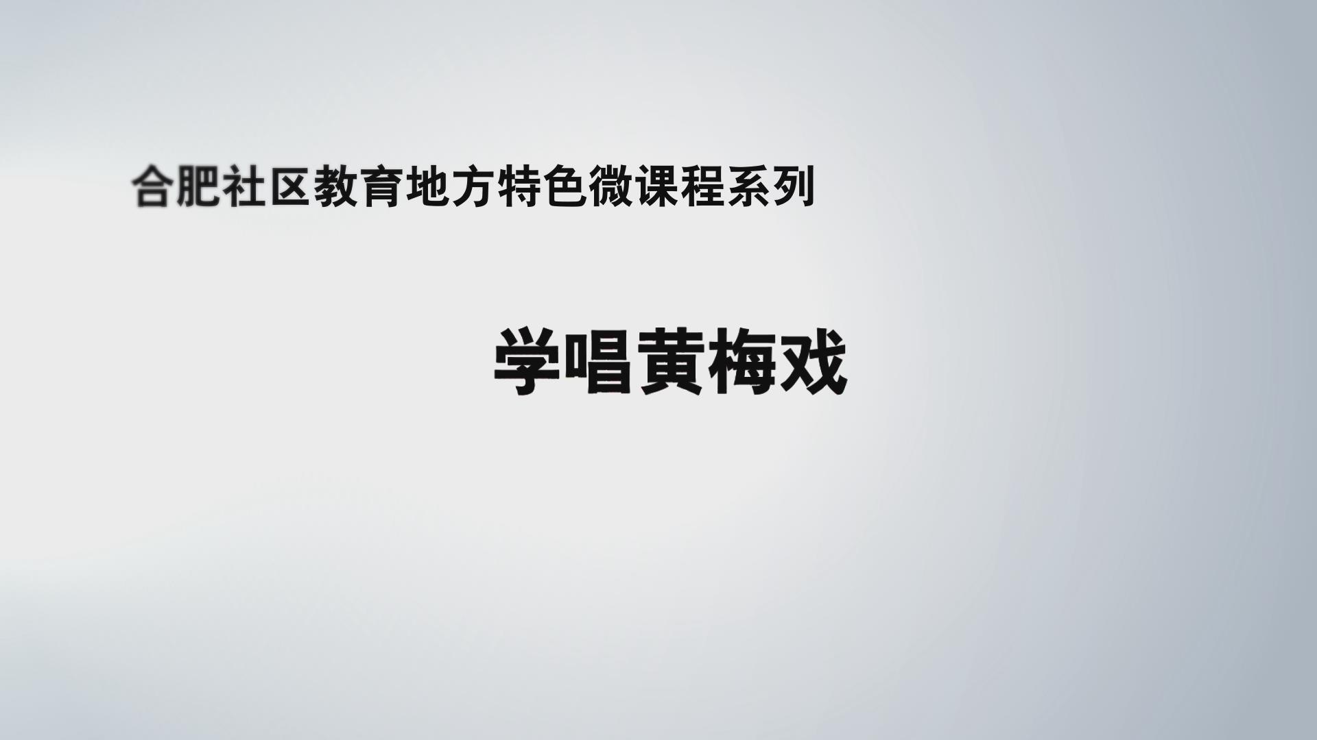 第三届 二等奖 《女驸马》选段《谁料皇榜中状元》