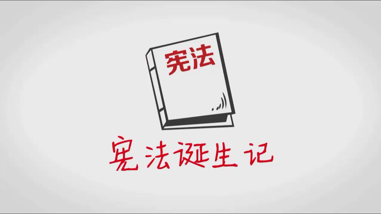 第三届  三等奖 宪法诞生记