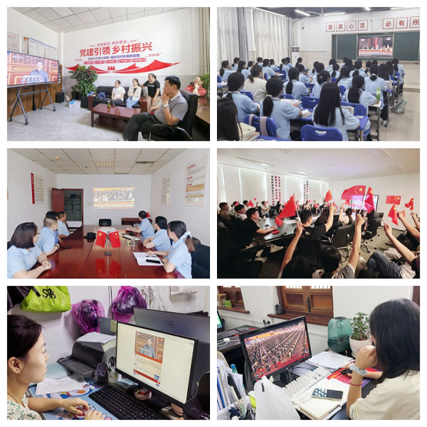 图片3_副本.png