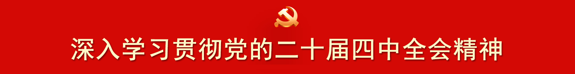 深入学习贯彻党的二十届四中全会精神